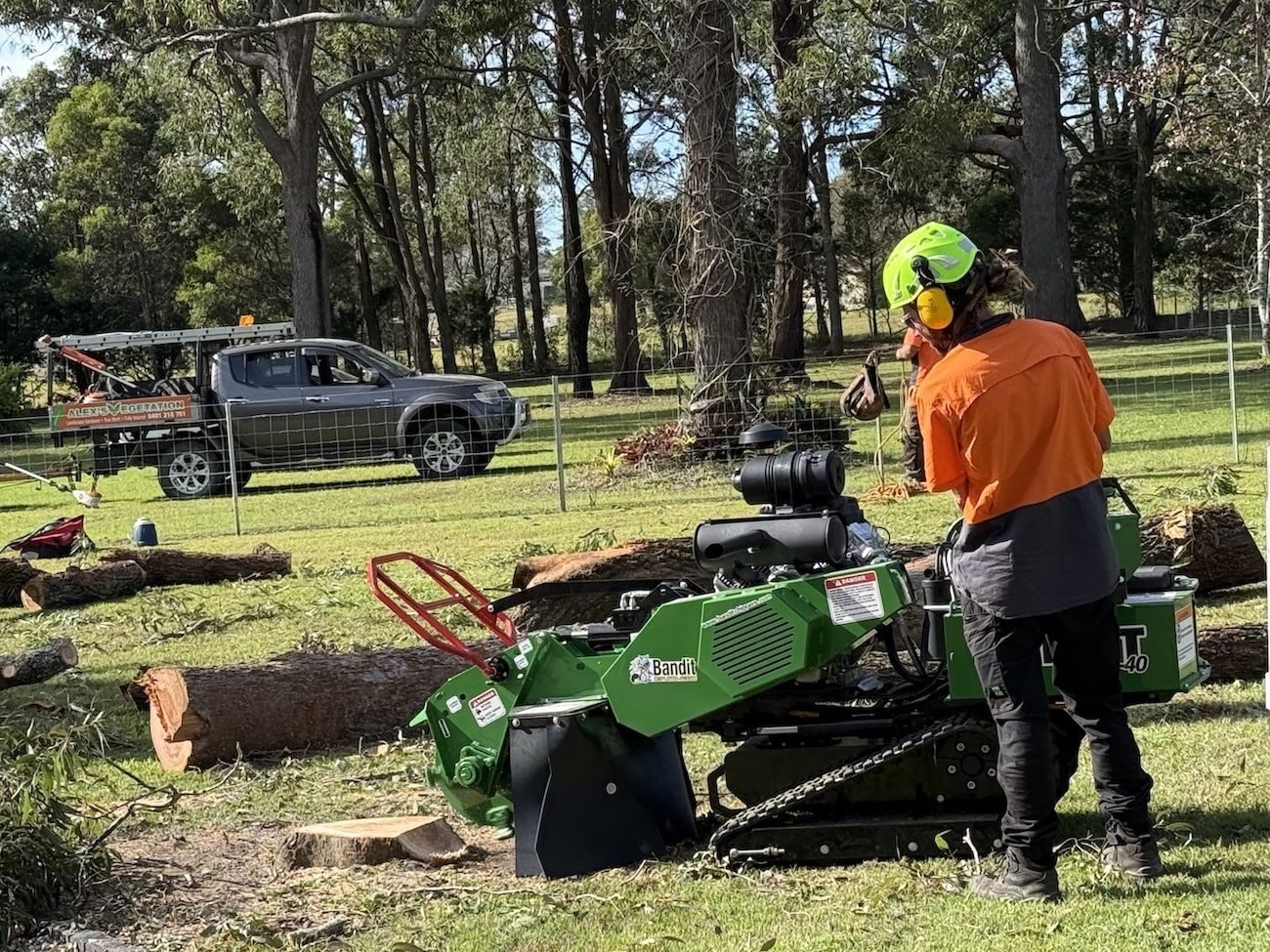 Stump grinding on a Port Macquarie property