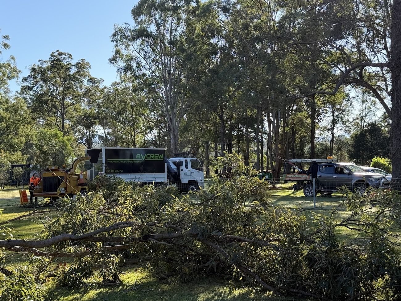 Alex's Vegetation tree work in Port Macquarie