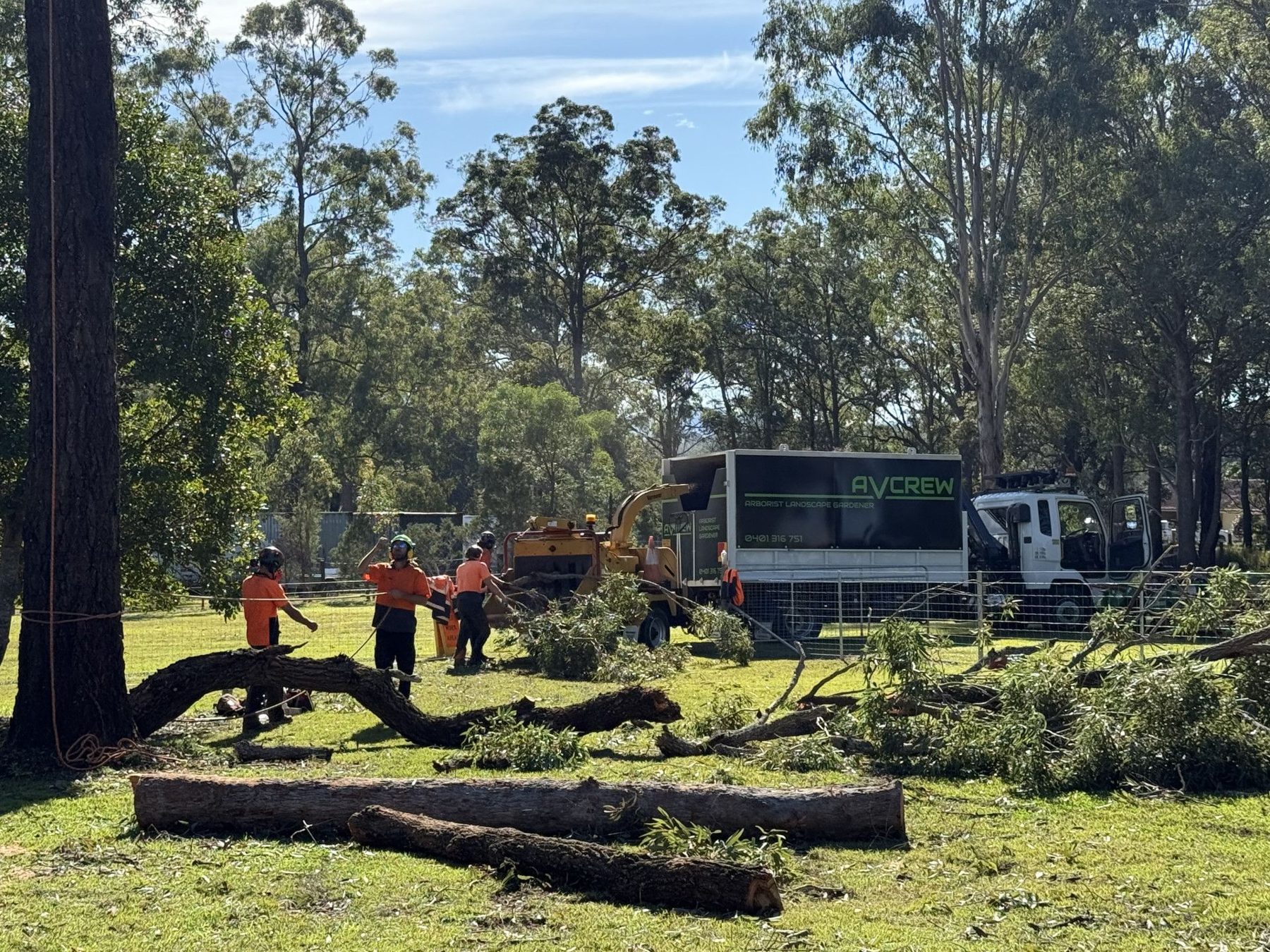 Alex's Vegetation tree work in Port Macquarie