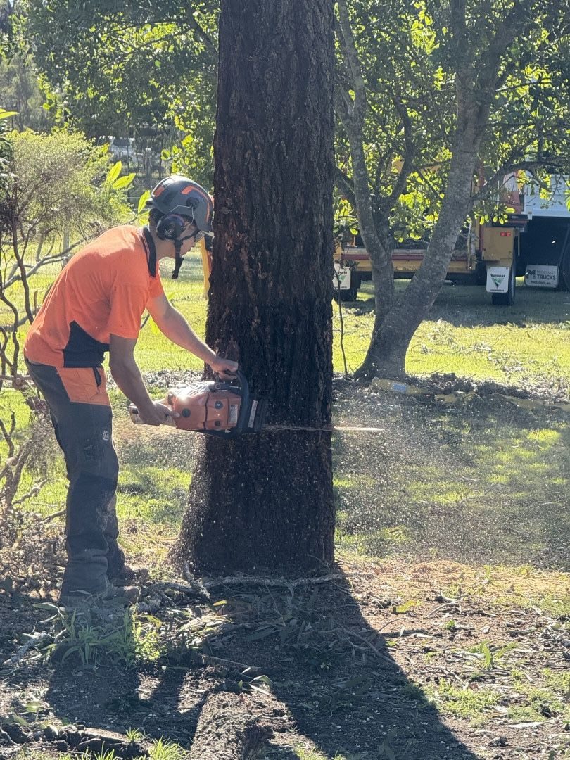 Alex working at the base of a tree