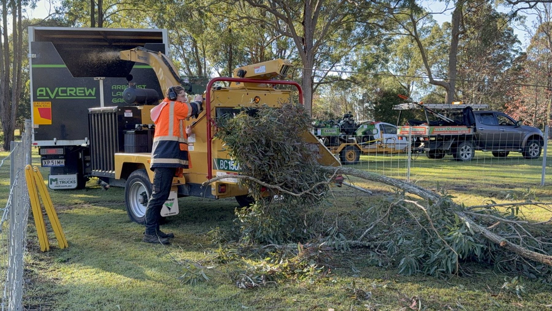 Vermeer wood chipper on a tree removal job