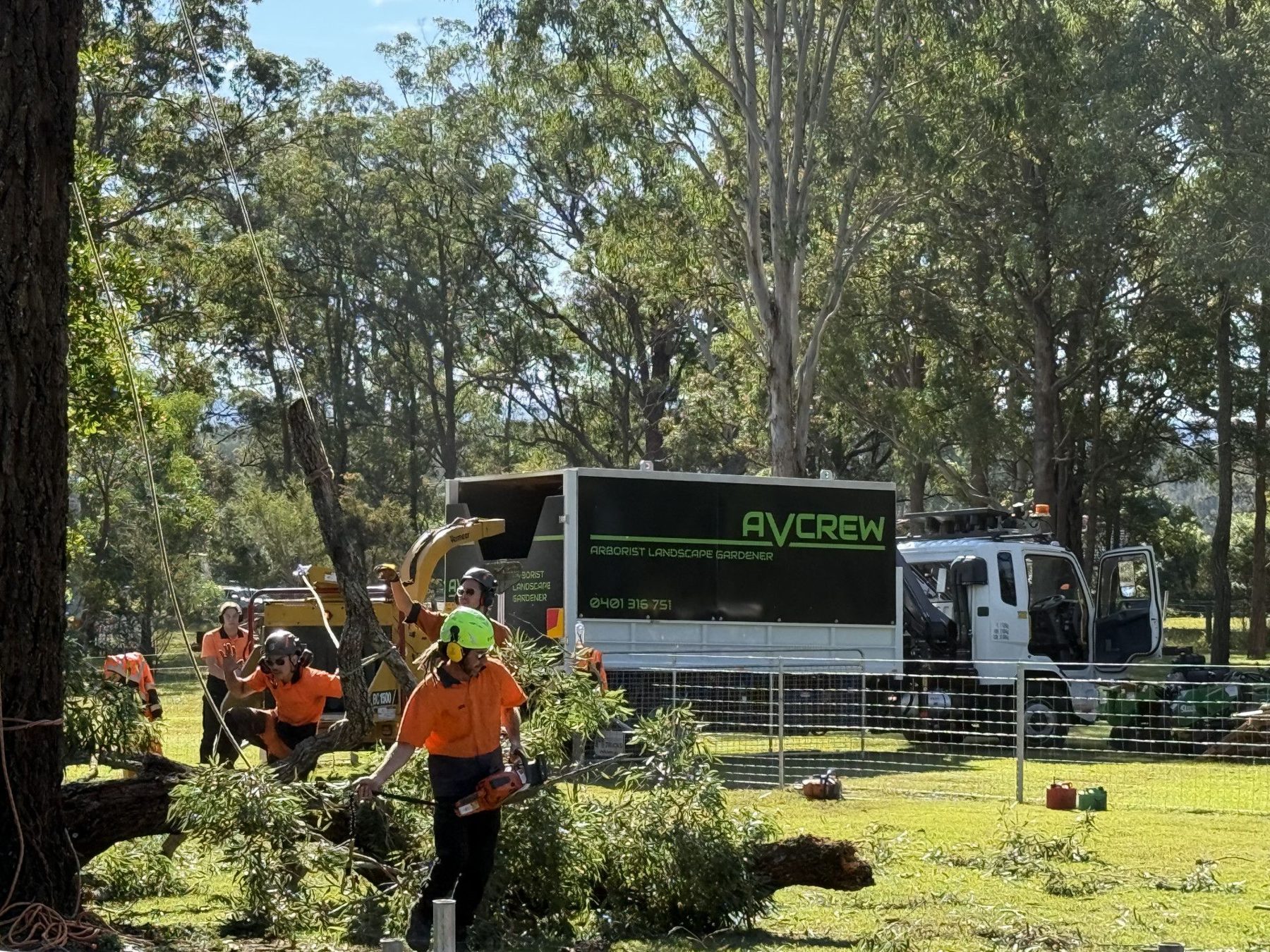 Alex's Vegetation tree work in Port Macquarie