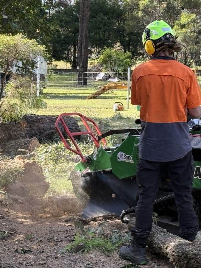 Stump grinding